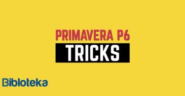 Primavera P6 Scheduling Tips Advanced P6 Tricks