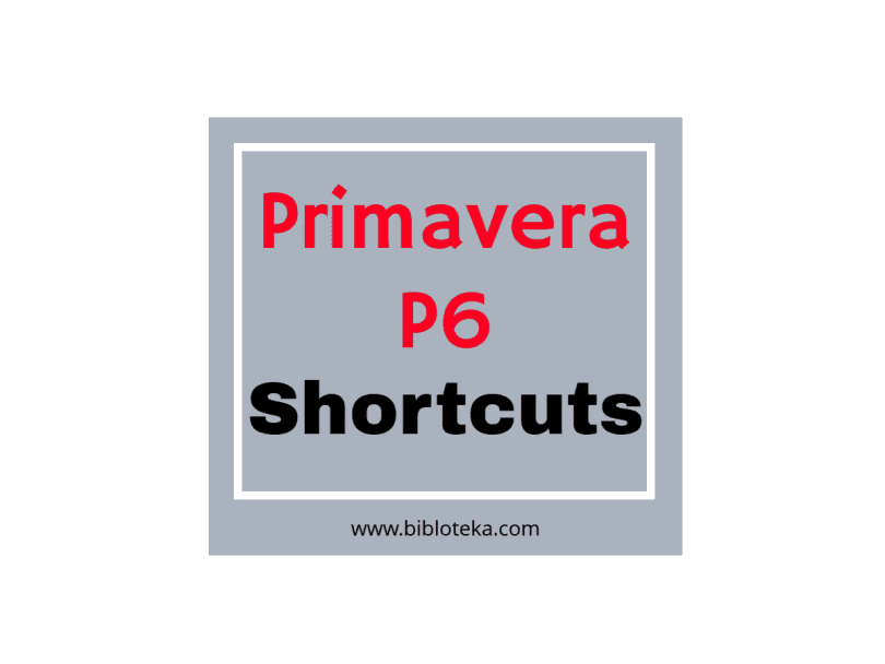 Primavera P6 shortcuts