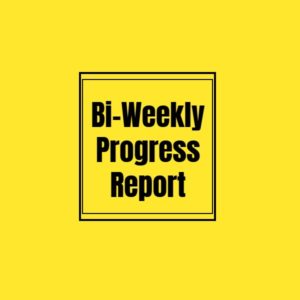 Bi-Weekly Progress Report For Construction Project
